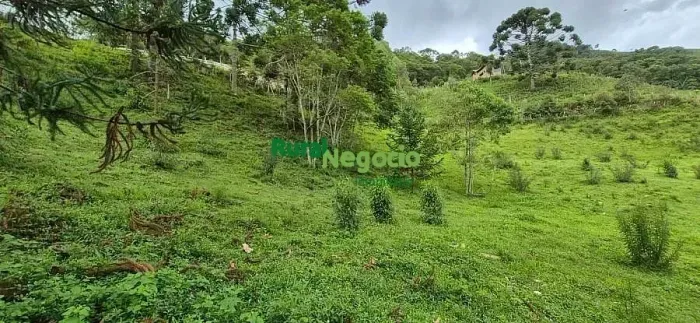 SÍTIO EXCLUSIVO COM CACHOEIRAS EM ITAMONTE-MG