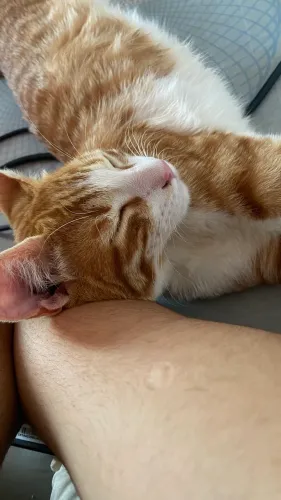 doação responsável