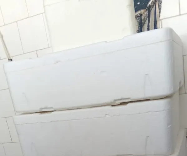 Isopor de alimentos