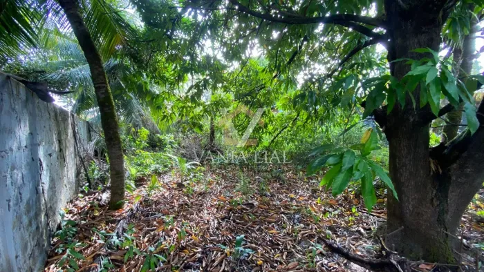 Terreno em Nova Brasília - Salinópolis, PA