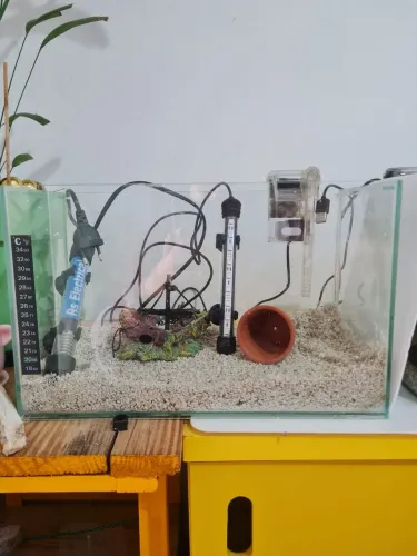 Aquário 11l ideal para Betta