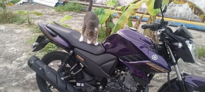 Vendo uma linda moto fazer 150 16.000
