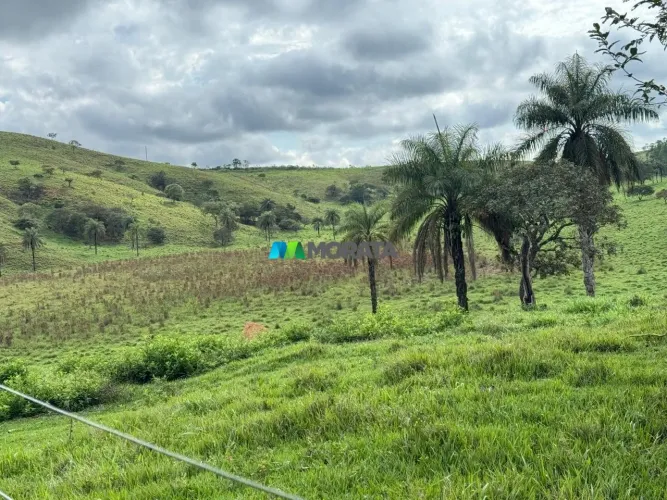 FAZENDA À VENDA - 112 HECTARES - TAPIRAÍ (MG)
