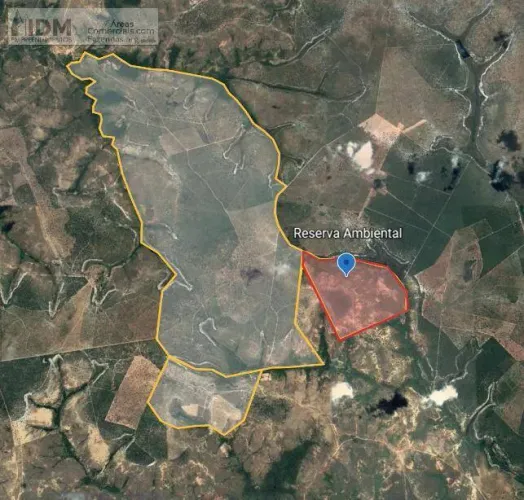 Fazenda bruta com 1950 ha em Arinos - MG