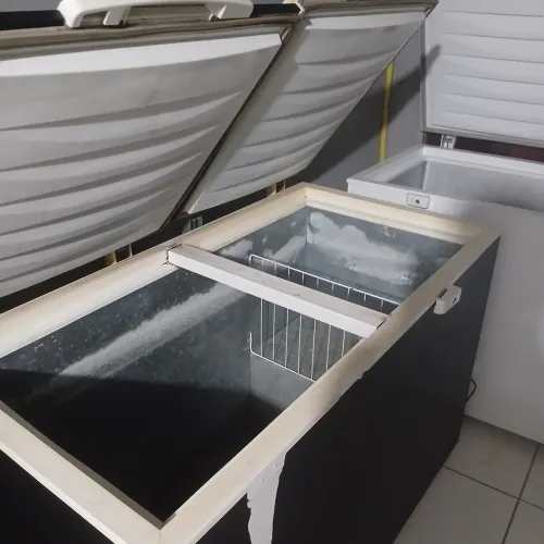 Freezer horizontal