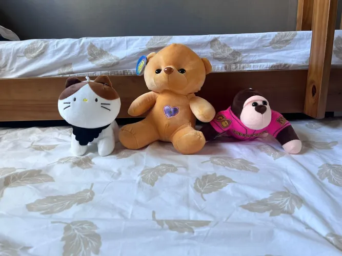 Pelúcias encantadoras 5 reais cada