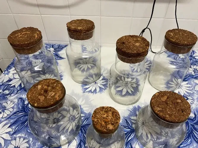 7 potes em vários tamanhos em vidro e cortiça para armazenar mantimentos