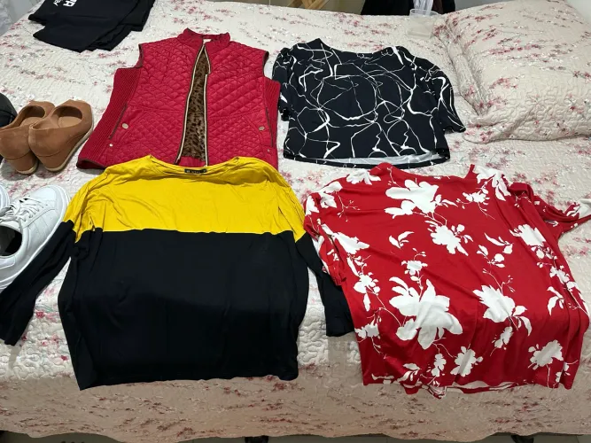 Lote de blusas