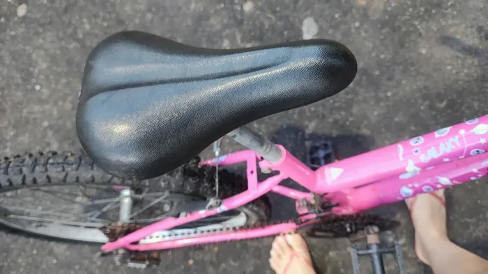 Bicicleta aro 24