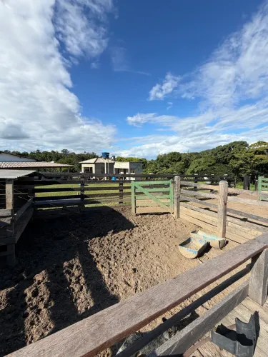 FAZENDA NA APIAÚ MUCAJAÍ