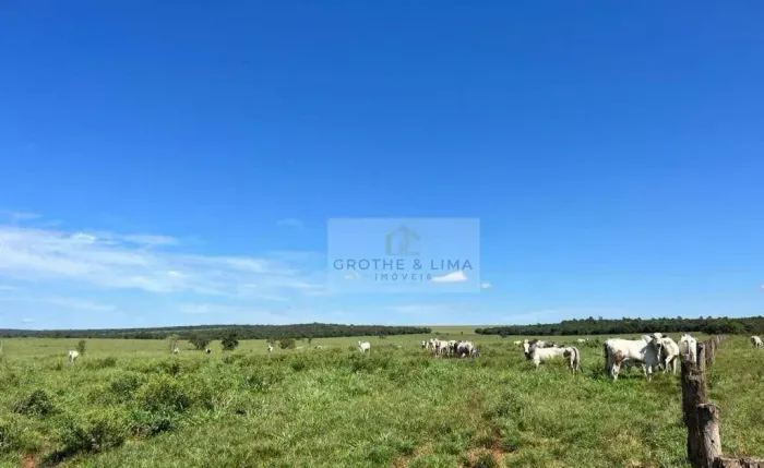 Fazenda à Venda 118 Alqueires Batayporã/MS