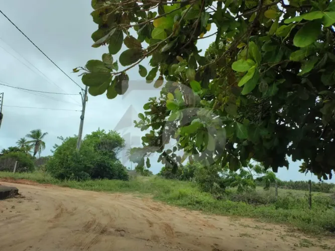 Lote de Esquina com 600 m² no Parque dos Coqueiros