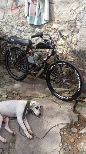 Motorizada 5 meses de uso não tá funcionando