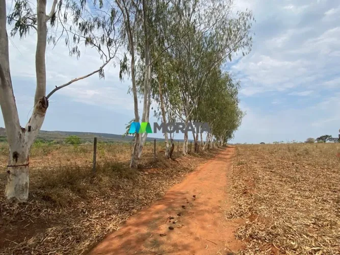 FAZENDA À VENDA - 1.217 HECTARES - REGIÃO DE BOCAIUVA (MG)