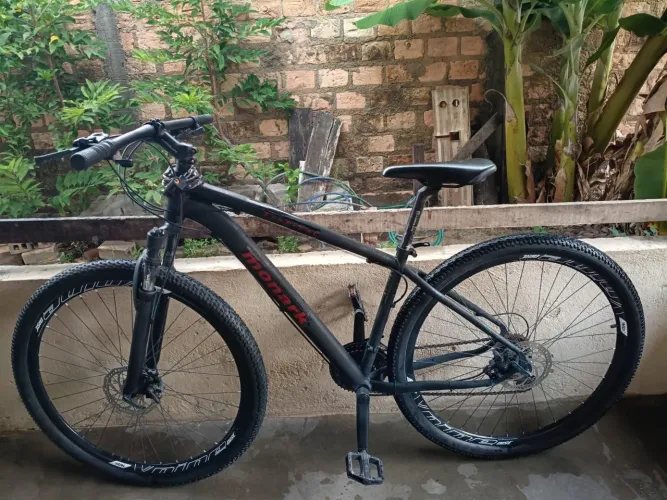 Bike Aro 29