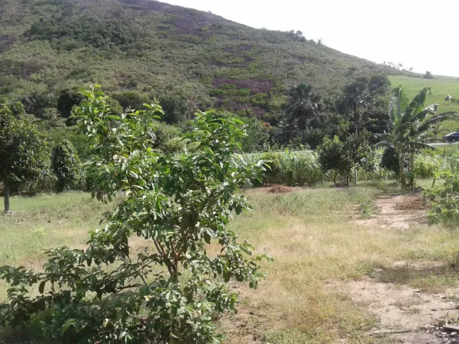 Vendo área de 20 mil m² 