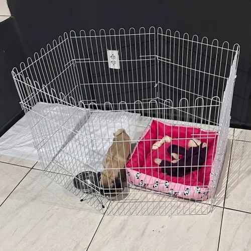 CERCADINHOS PET (GRADES PARA CÃES)