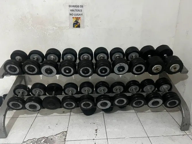 Academia 
