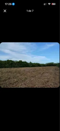 Terreno 