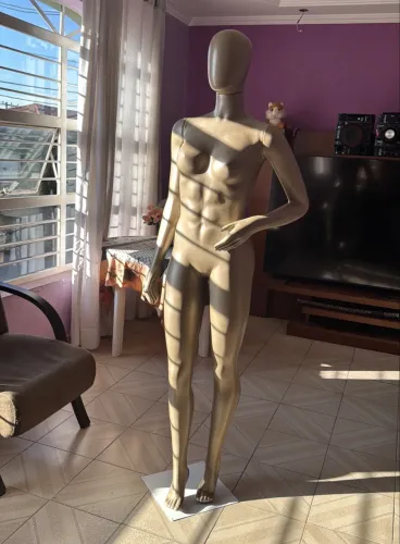 Manequim Feminino Corpo Inteiro + 3 Braços + Cabeça | Nunca usado