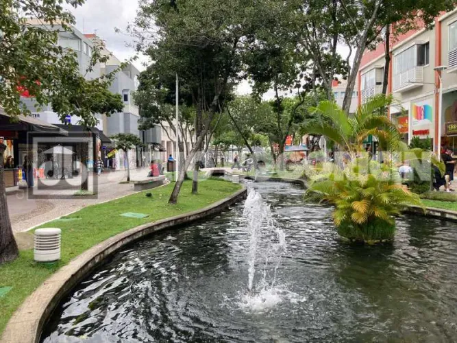 Loja : / Comercial / Barra da Tijuca