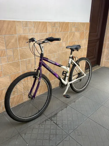 Bicicleta Caloi Snake 21 Marchas