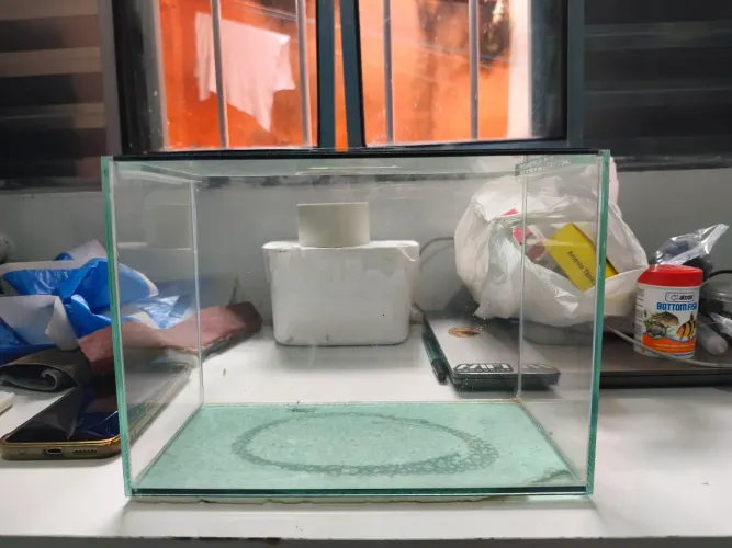 Aquário 5 litros, perfeito para betas.