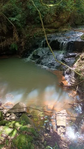 Linda área rural de 3 hectares, Alto Padre Eterno, apenas 15 minutos do centro de Gramado