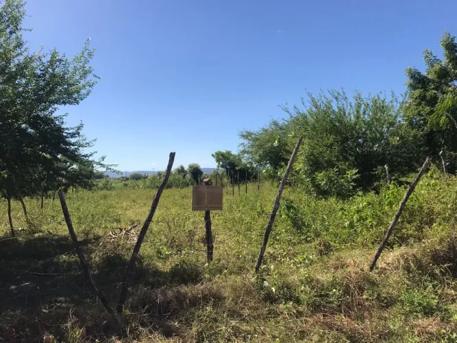 Vende-se ou troca terreno no Gama, Icó 