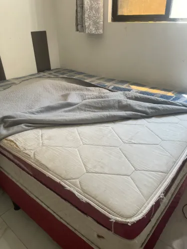 Cama