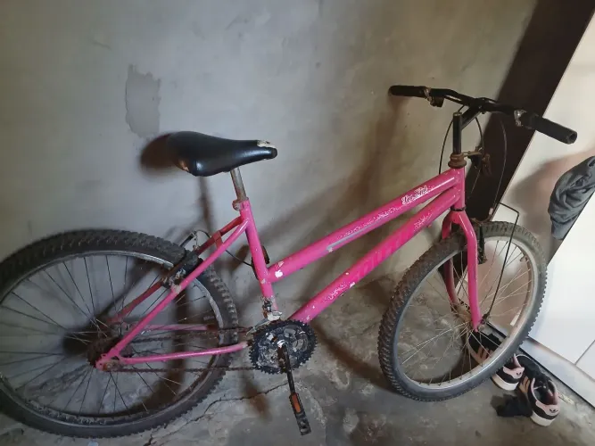 Bicicleta, 100$