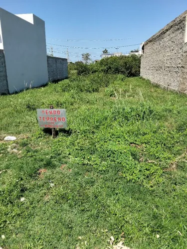 Terreno 8x20 Donana Bem Viver Rua Luzia Pinto 36 Preço 55.000.00.