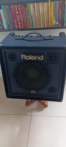 Roland kc 350