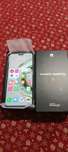 Huawei Mate 60 Pro 12/512gb