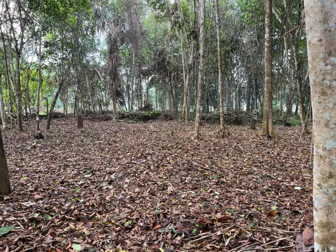 Terreno no km 15, br 174