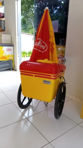 Carrinho De Picolé Thermototal Modelo Plástico 95cm x 74cm x 55cm