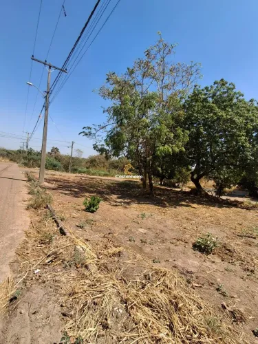 Lote Residencial - 437 m² - Expansão Sul - Taquaralto
