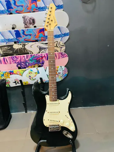 Guitarra StratoCaster Dolphin