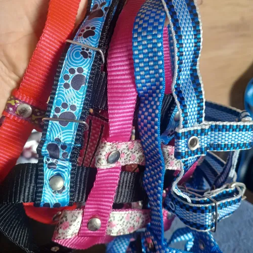 Roupas e acessórios pet