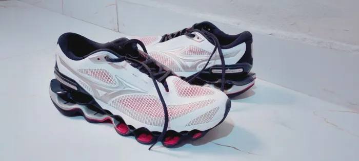 Mizuno prophecy 15