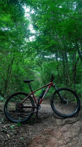 Bicicleta: Moutan bike Absolute Wild boiar