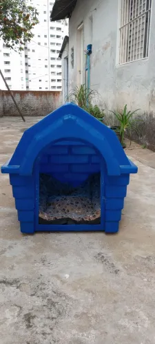 CASINHA CACHORRO