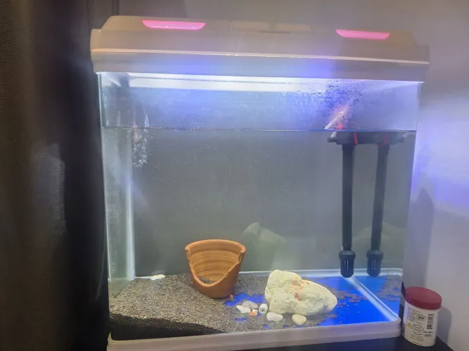 Aquário 60 lts