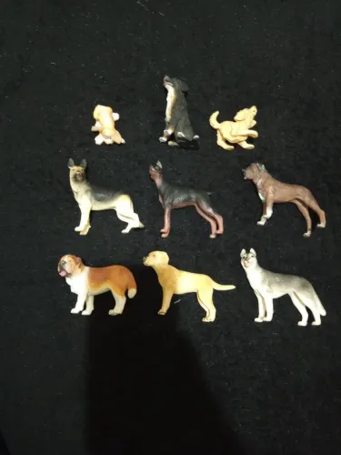 Cães de raça em miniatura