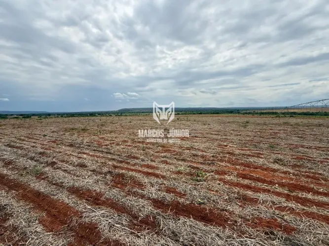 VENDO GRANDE FAZENDA EM PIRAPORA MG NORTE DE MINAS COM DUPLA APTIDÃO TERRA VERMELHA E COM 