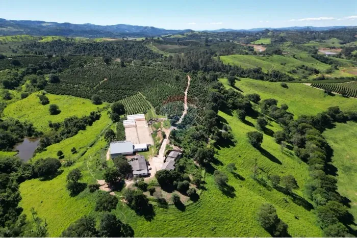 Fazenda Rio Pardo, produção de café em Poços de Caldas a venda