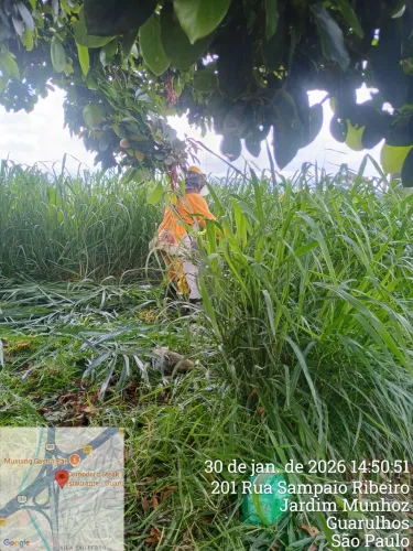 Serviço de jardinagem, poda e corte de grama 