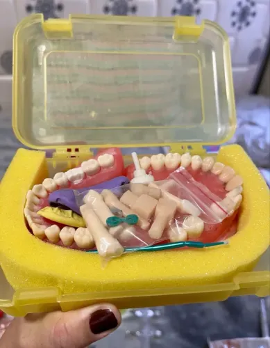Manequim Dentística Pronew