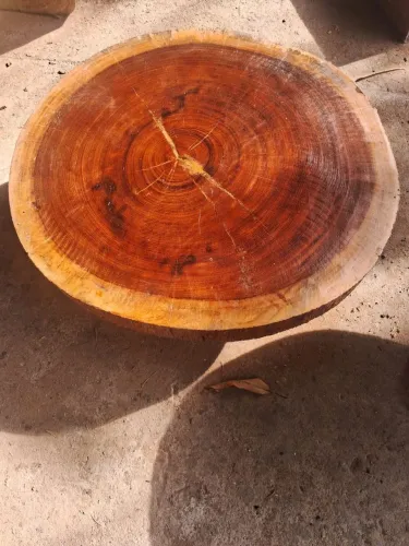 Mesa simples madeira 