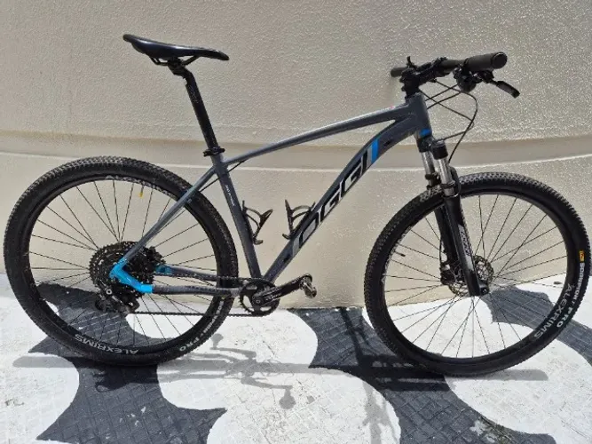 Oggi 7.0 MTB